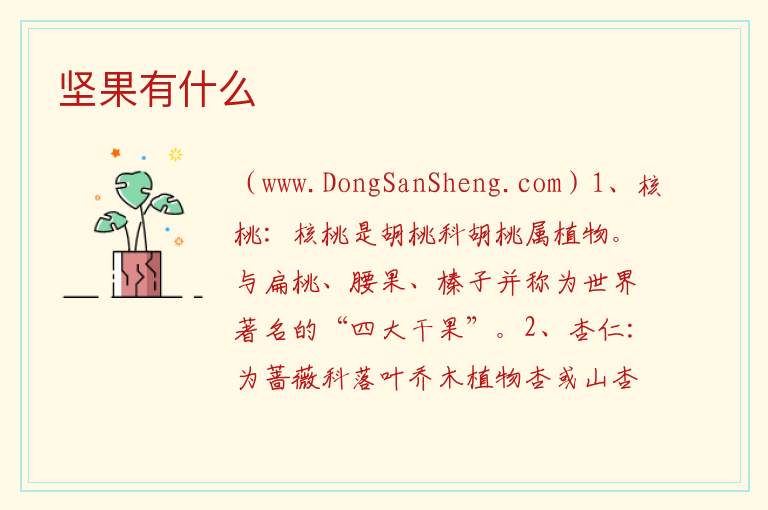 坚果有什么 