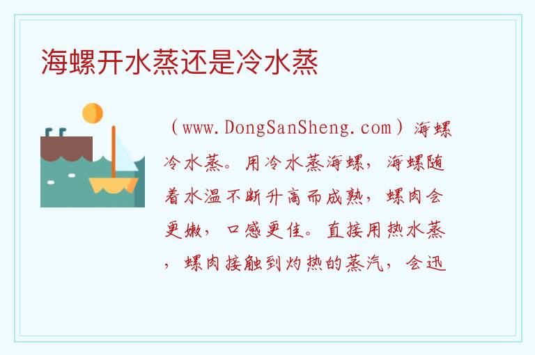 海螺开水蒸还是冷水蒸 