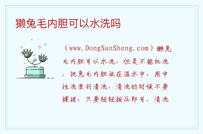 獭兔毛内胆可以水洗吗 