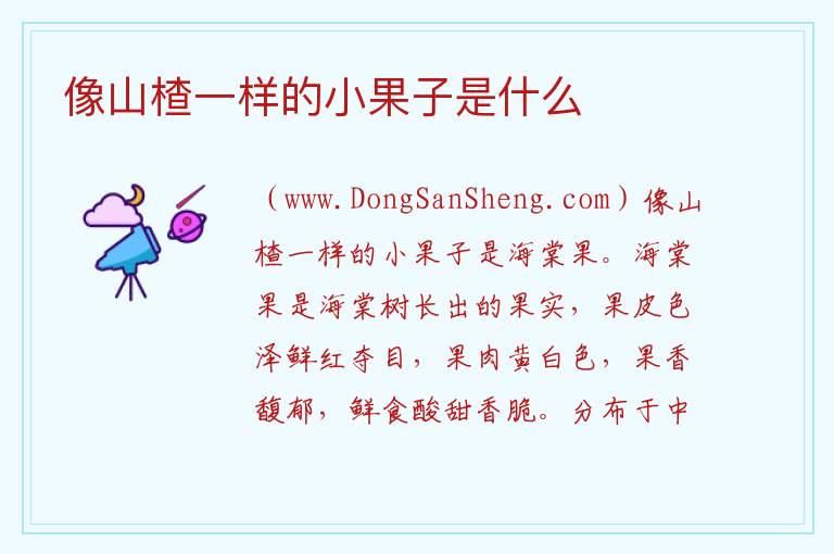 像山楂一样的小果子是什么 和山楂类似的小果子