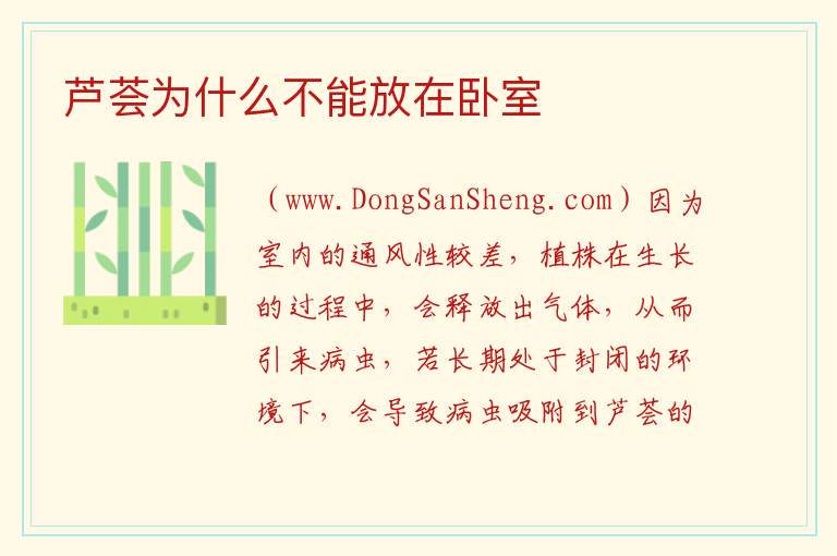 芦荟为什么不能放在卧室 