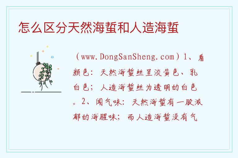 怎么区分天然海蜇和人造海蜇 