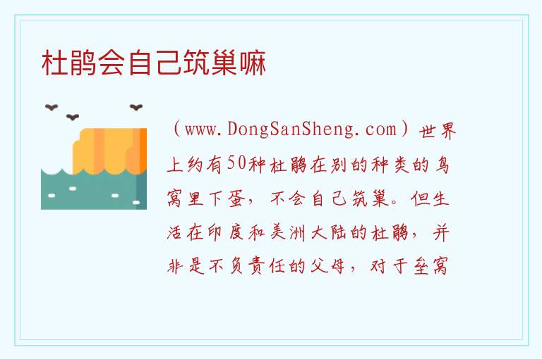 杜鹃会自己筑巢嘛 