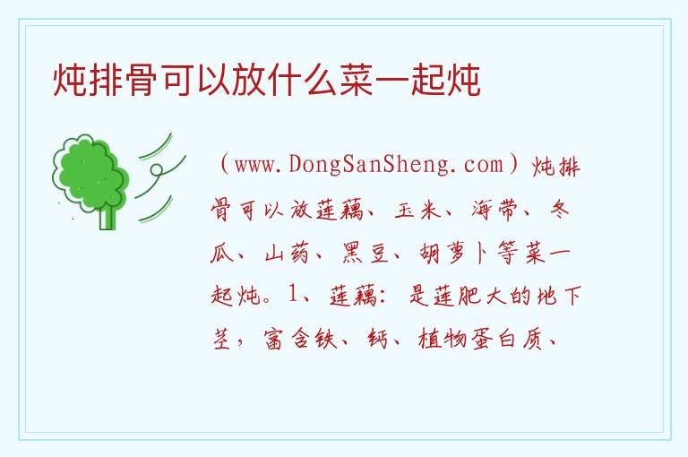 炖排骨可以放什么菜一起炖 