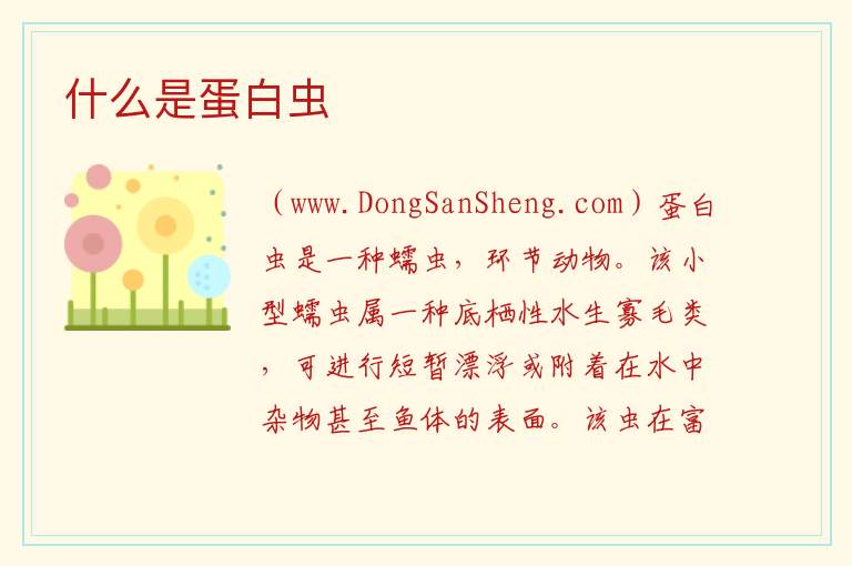 什么是蛋白虫 