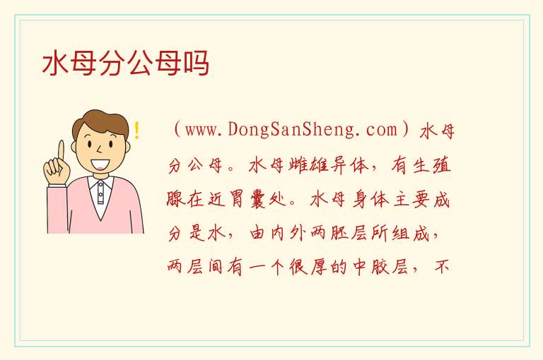 水母分公母吗 