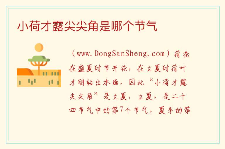 小荷才露尖尖角最接近哪个节气，小荷才露尖尖角最接近哪个节气