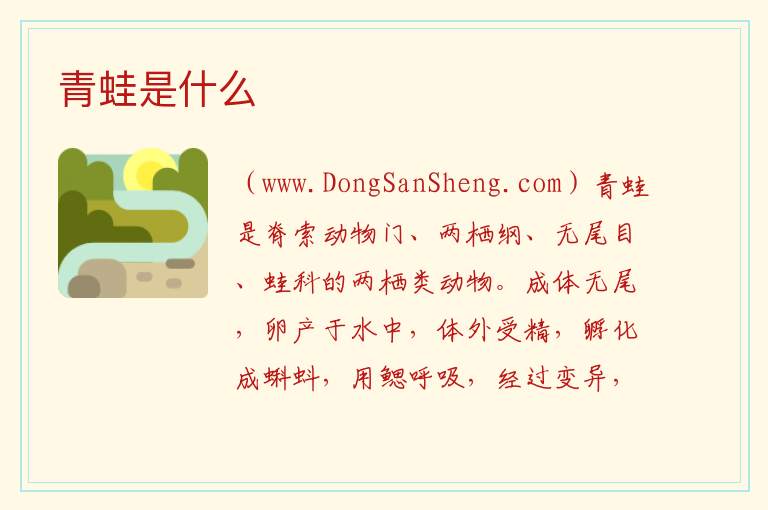 青蛙是什么 青蛙是什么类