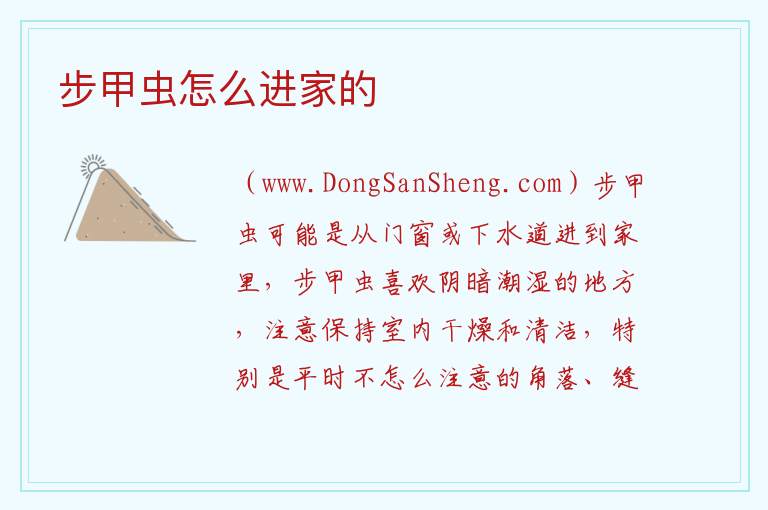 步甲虫怎么进家的 