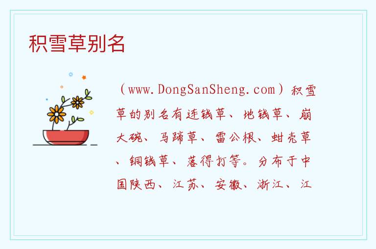 积雪草别名 