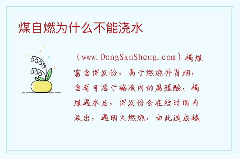 煤自燃为什么不能浇水 