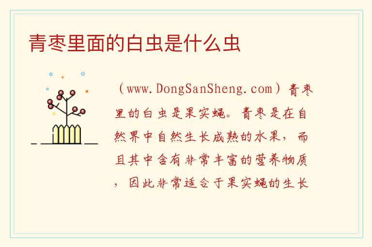 青枣里面的白虫是什么虫 