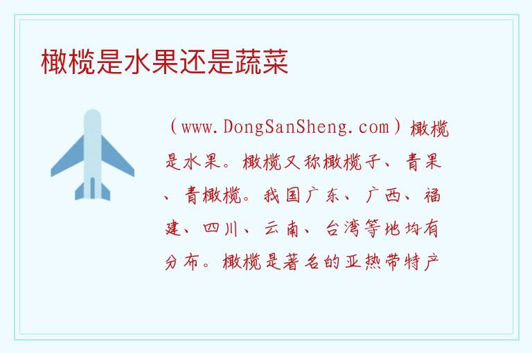 橄榄是水果还是蔬菜 