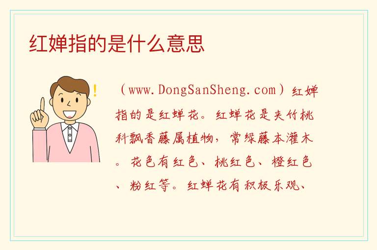 红婵指的是什么意思 