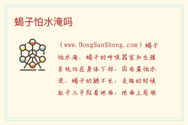 蝎子怕水淹吗 