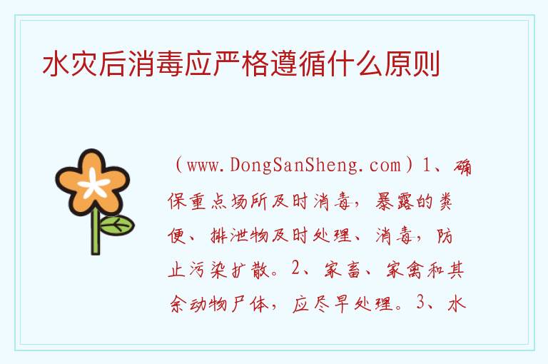 水灾后消毒应严格遵循什么原则 