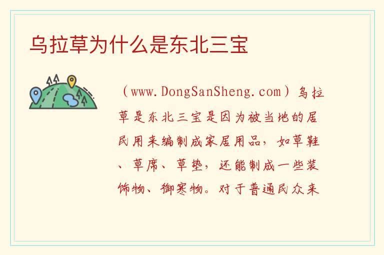 乌拉草为什么是东北三宝 