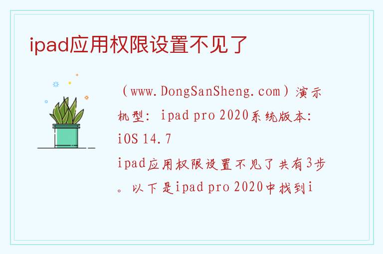 ipad应用权限设置不见了 
