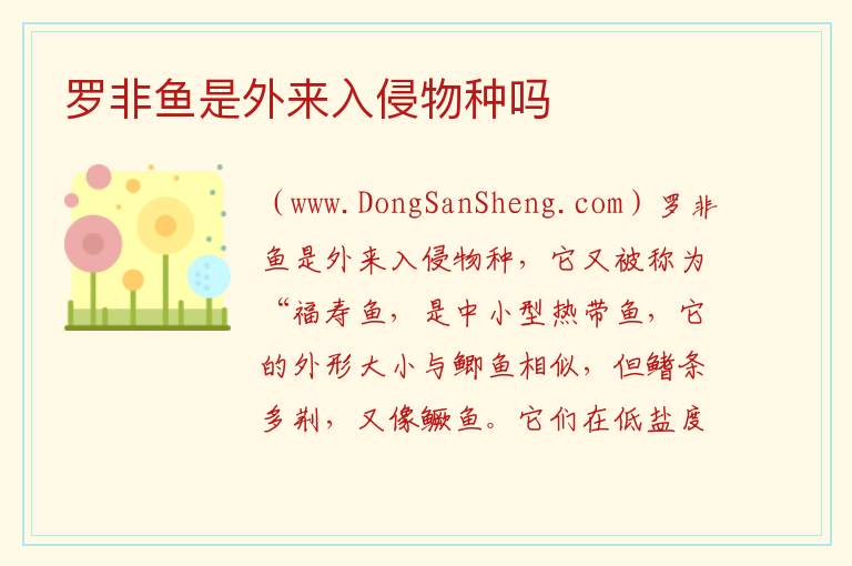 罗非鱼是外来入侵物种吗 