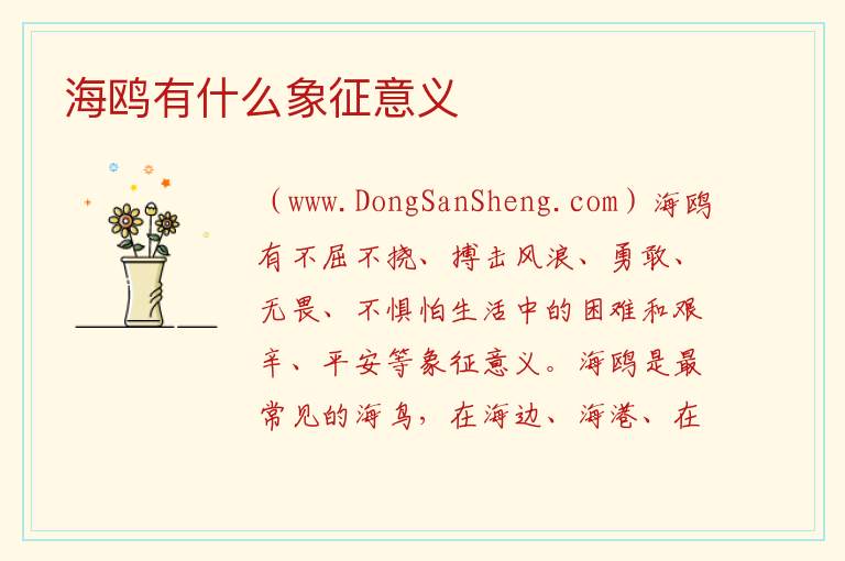 海鸥有什么象征意义 
