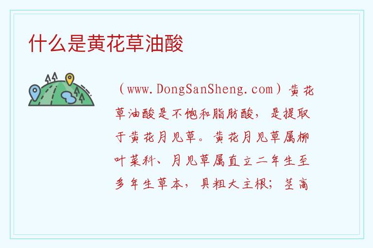 什么是黄花草油酸 