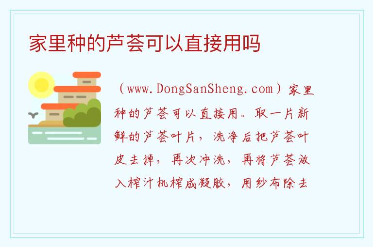 家里种的芦荟可以直接用吗 
