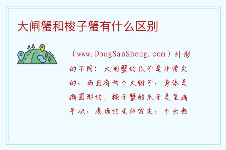 大闸蟹和梭子蟹有什么区别 
