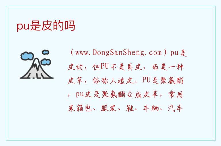 pu是皮的吗 