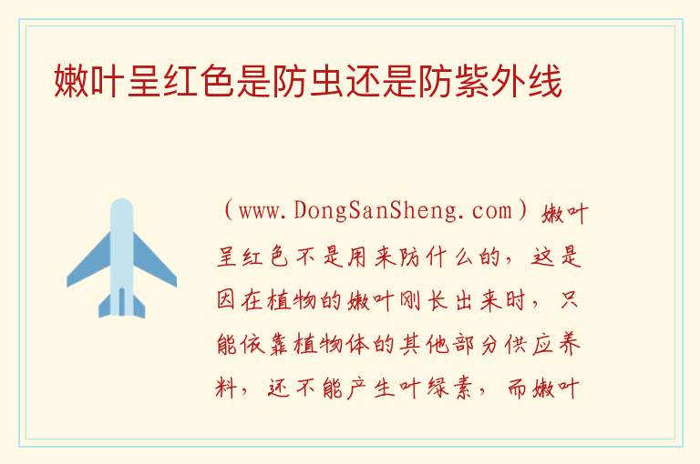 嫩叶呈红色是防虫还是防紫外线 