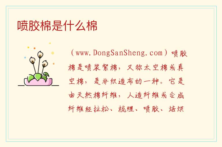 喷胶棉是什么棉 