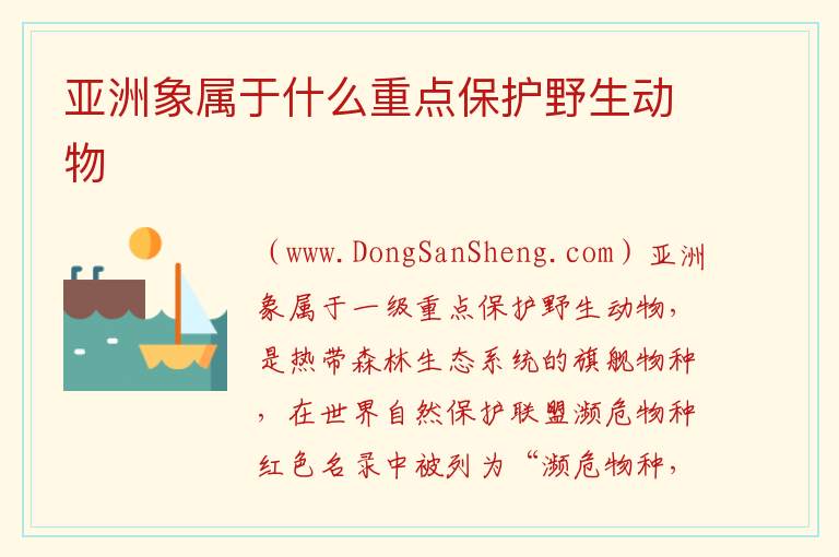 亚洲象属于什么重点保护野生动物 