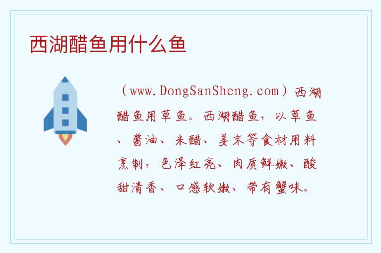 西湖醋鱼用什么鱼 