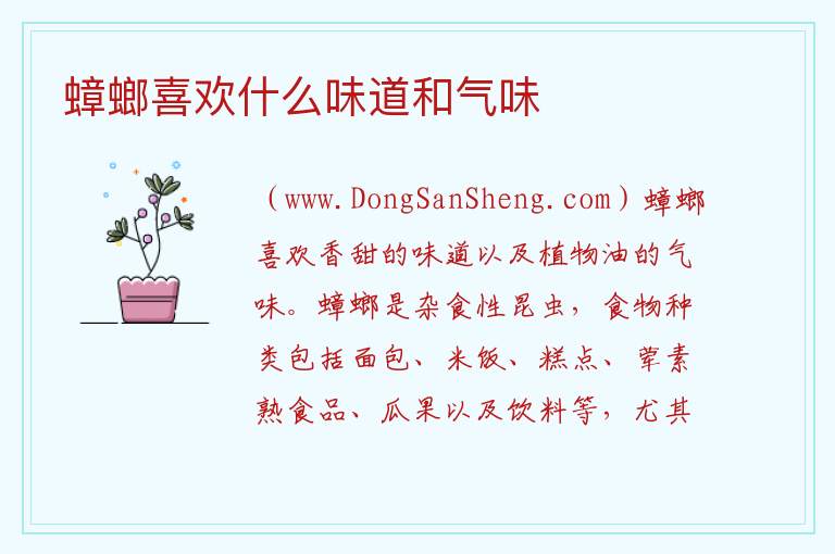 蟑螂喜欢什么味道和气味 