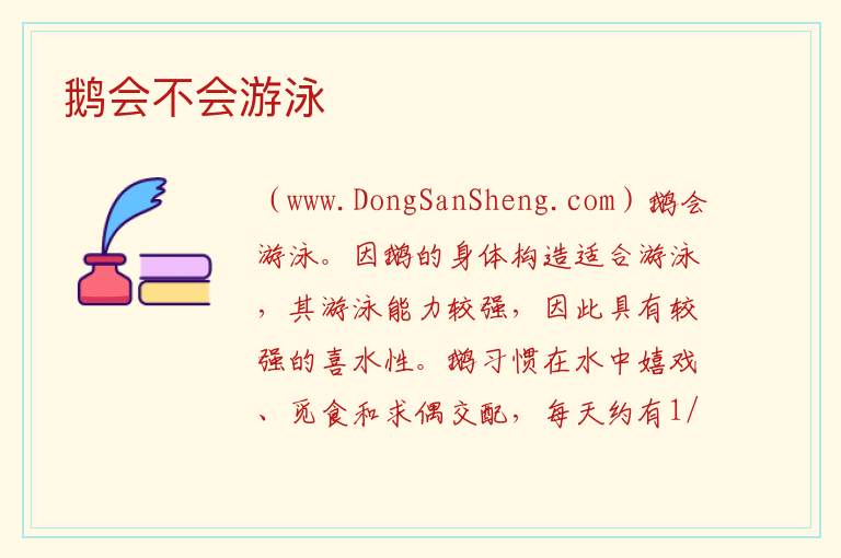 鹅会不会游泳 
