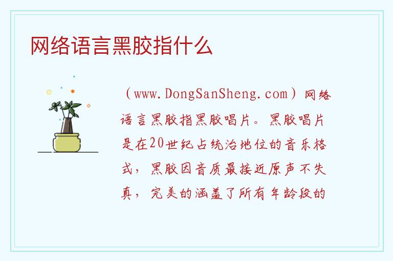 网络语言黑胶指什么 