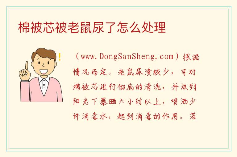 棉被芯被老鼠尿了怎么处理 