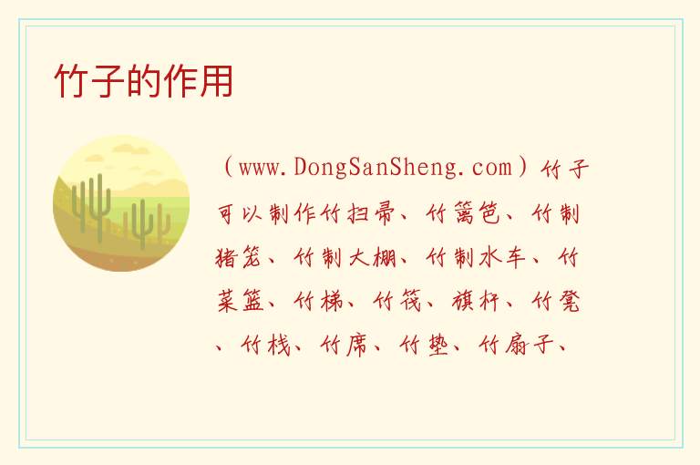 竹子的作用 