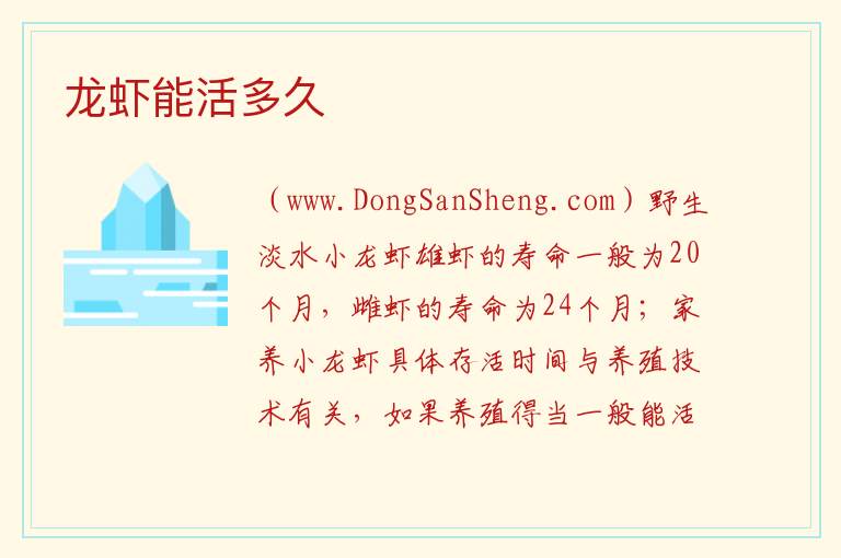 龙虾能活多久 