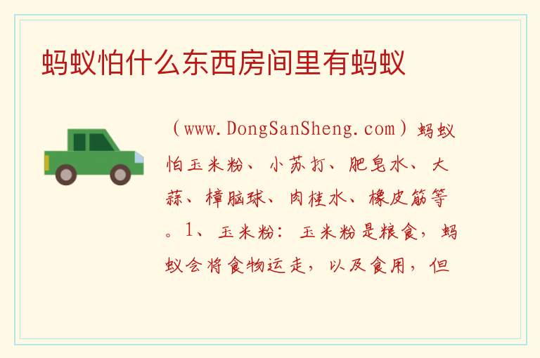 蚂蚁怕什么东西房间里有蚂蚁 