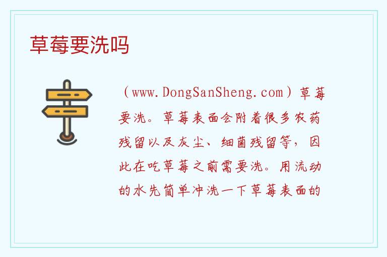 草莓要洗吗 