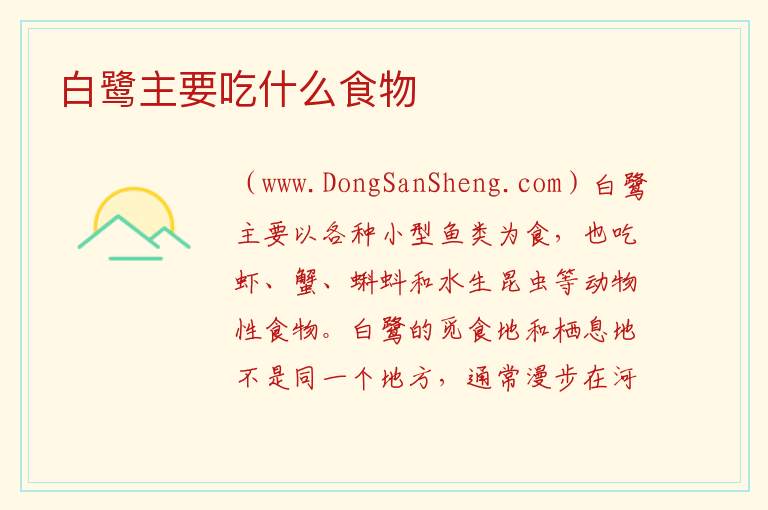 白鹭主要吃什么食物 