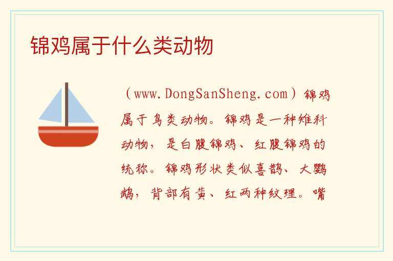 锦鸡属于什么类动物 