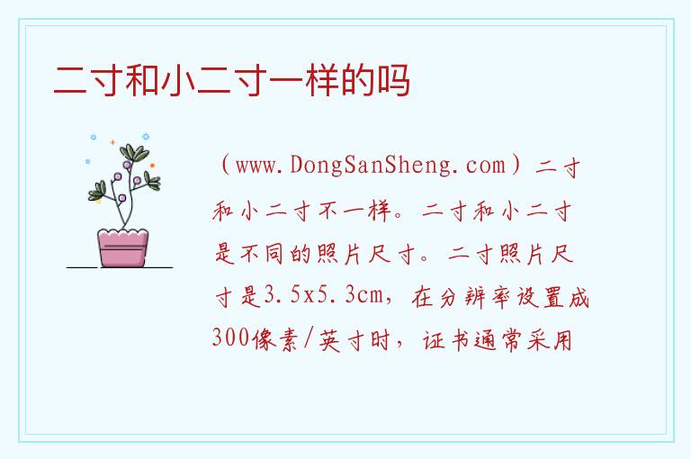 二寸和小二寸一样的吗 
