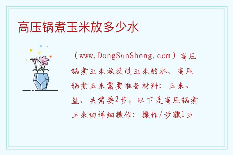 高压锅煮玉米放多少水 