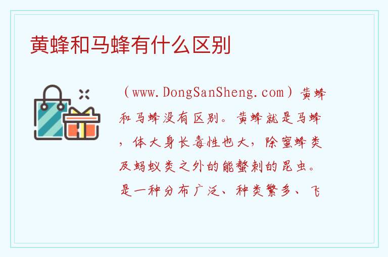 黄蜂和马蜂有什么区别 