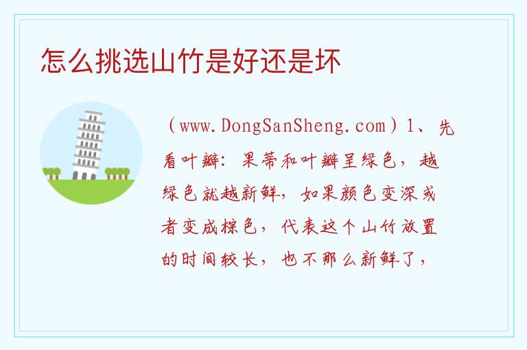 怎么挑选山竹是好还是坏 