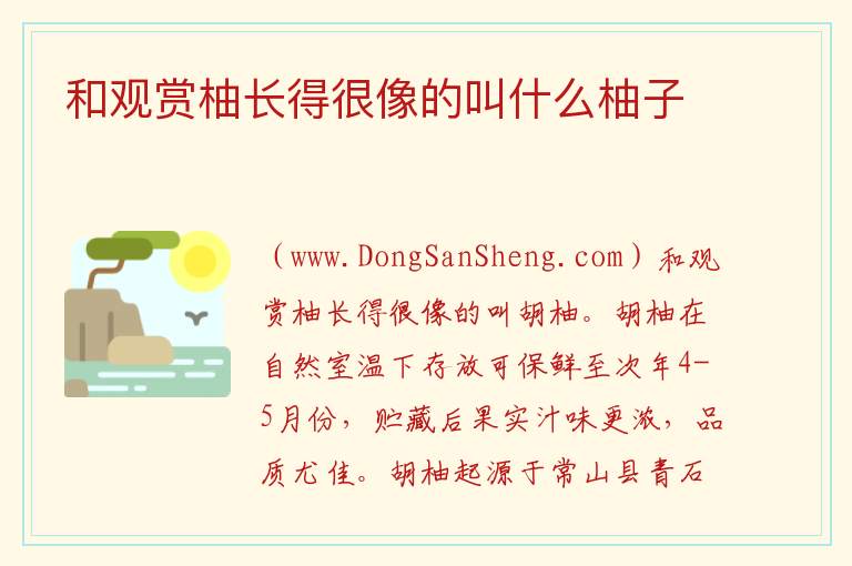 和观赏柚长得很像的叫什么柚子 