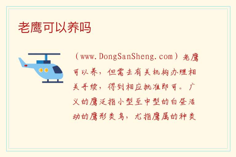 老鹰可以养吗 