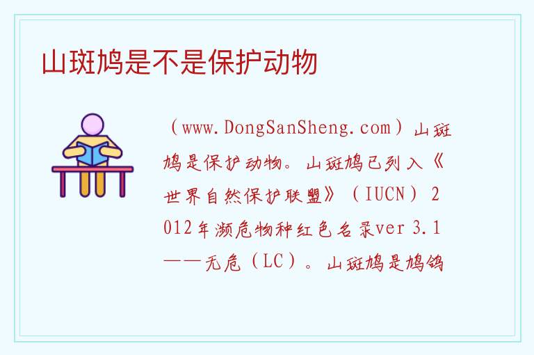 山斑鸠是不是保护动物 