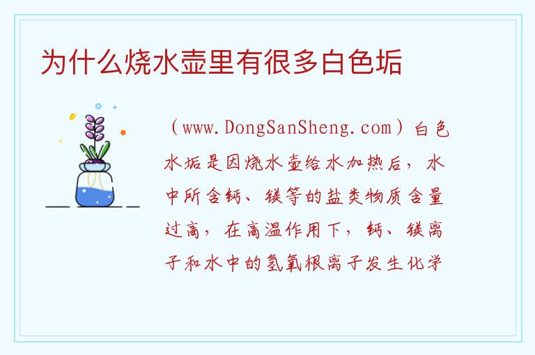 为什么烧水壶里有很多白色垢 